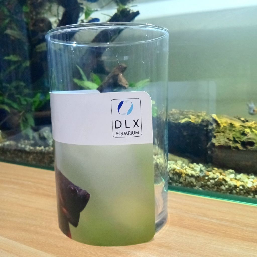 Aquarium Toples kaca DLX cupang A / Toples ikan cupang / vas bunga kaca