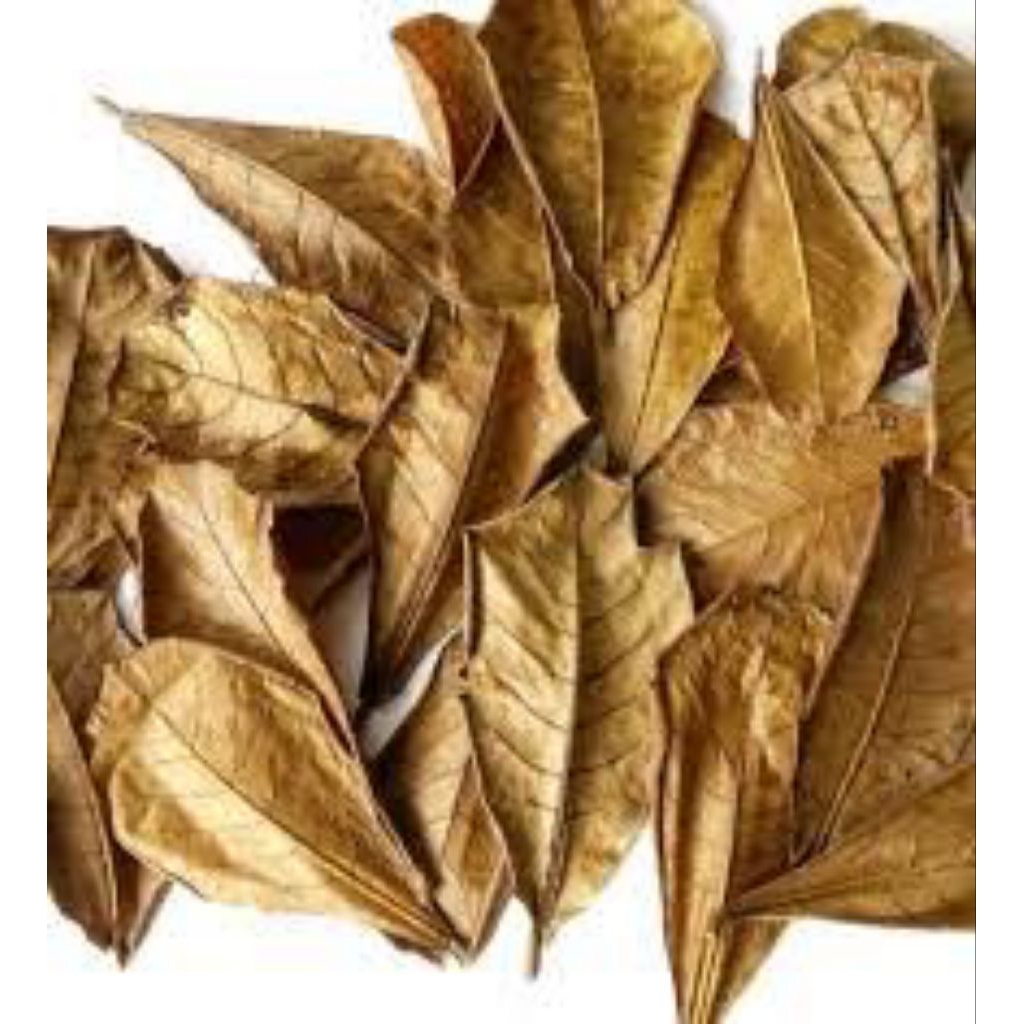 EKSTRAK AIR DAUN KETAPANG SUPER PEKAT 250ML