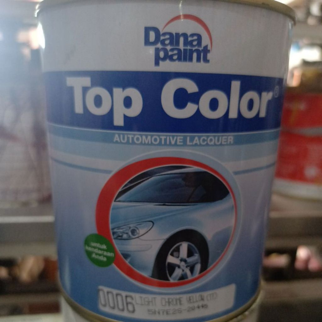 Top Color Danapaint