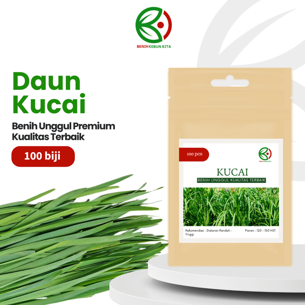Biji Benih Bibit Tanaman Sayuran Daun Kucai Unggul Berkualitas