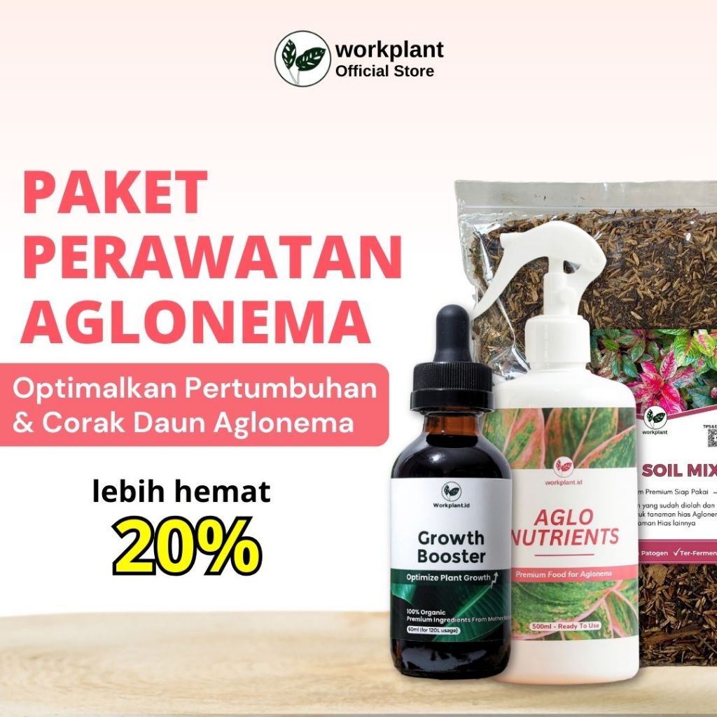 Workplant - Paket Perawatan Aglonema Growth Booster Pupuk Cair Nutrisi Media Tanam Tanaman Hias Aglo