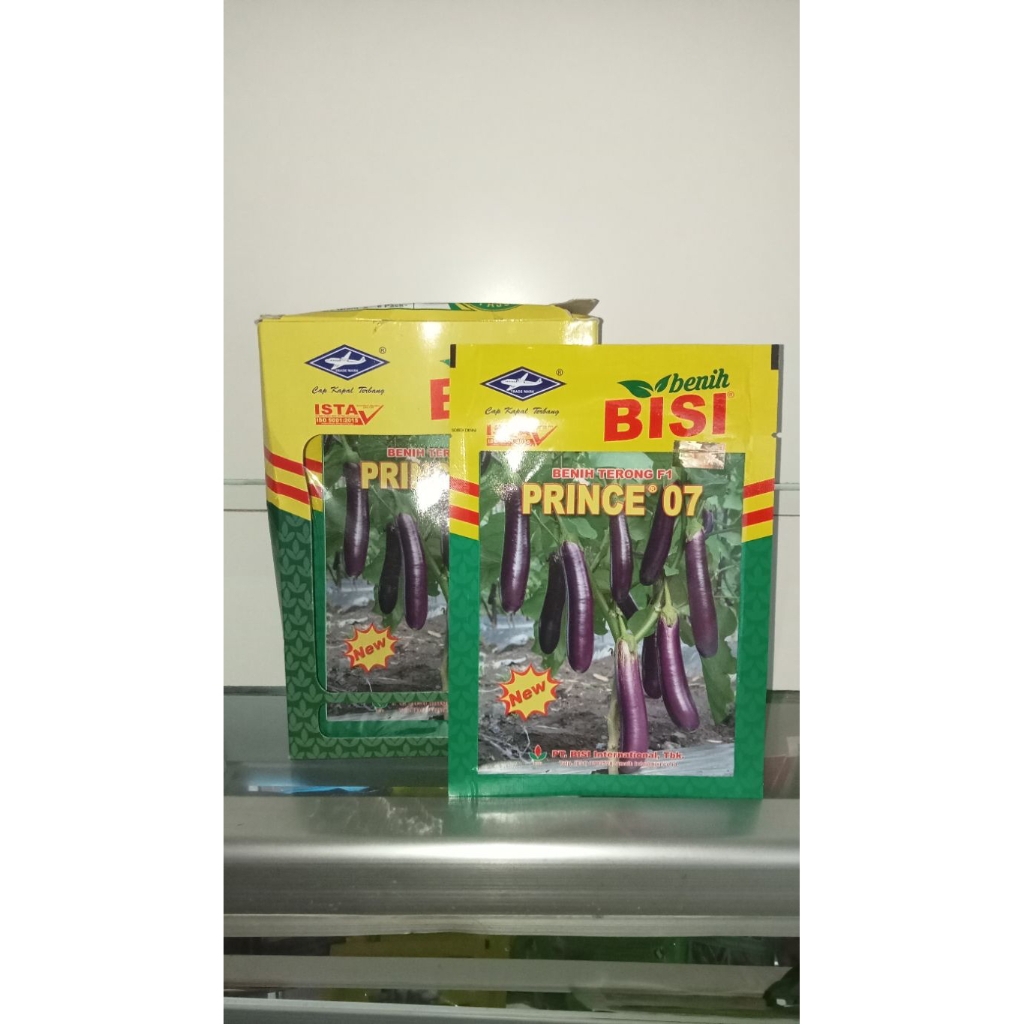 BENIH TERONG PRINCE 07