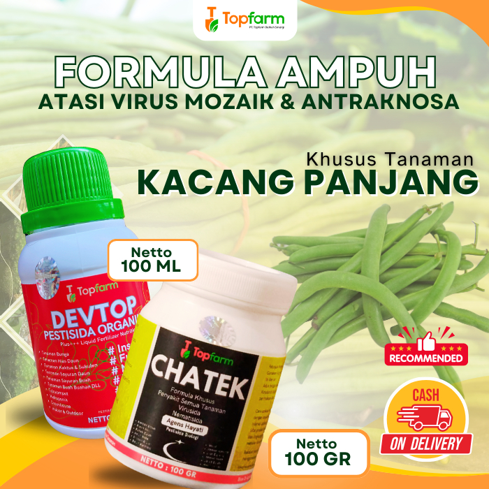 Pestisida Kacang Panjang / Obat Kacang Panjang Anti Kuning / Obat Penyakit Daun Kuning Pada Kacang P