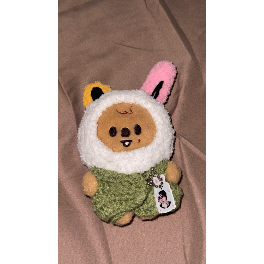 READY STOCK Jureumi Hood & Mini Cahol (for skzoo 10cm plush)