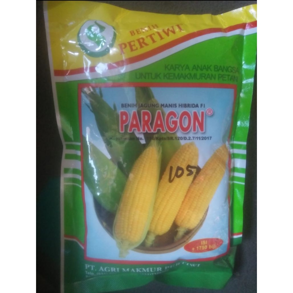 Benih Jagung Manis "PARAGON"