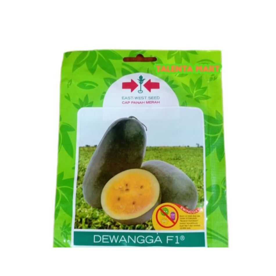 BENIH SEMANGKA DEWANGGA F1 INUL KUNING / BIBIT SEMANGKA INUL KUNING