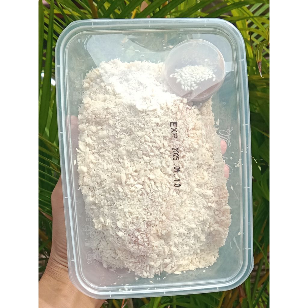 Chicken Katsu ekonomis ala bento/ide bekal praktis/Frozen home made bento