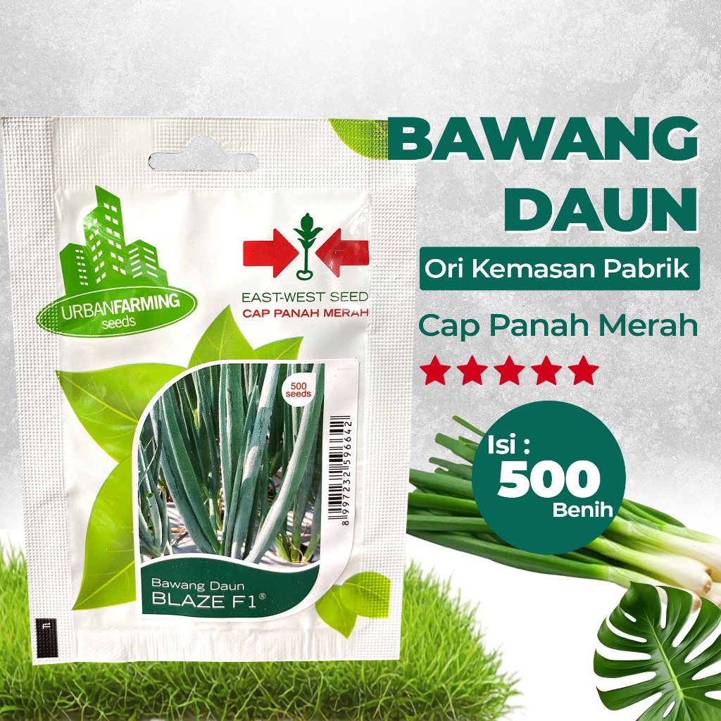Benih Bibit Bawang Daun 500 Benih Cap Panah Merah Kemasan Asli