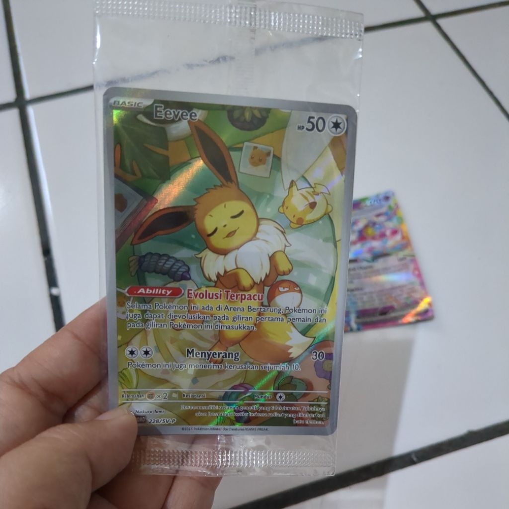 Pokemon Game Kartu Koleksi EEVEE EX TERASTAL SYLVEON EX  EEVEE promo terastal