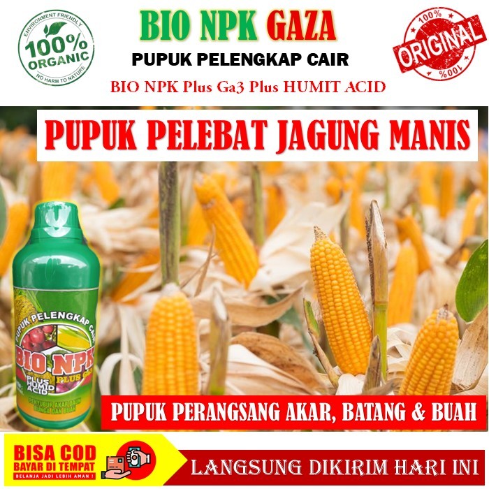 Pupuk Bio NPK Cair GAZA untuk pelebat tanaman jagung - pupuk pelengkap cair Gaza membantu melebatkan