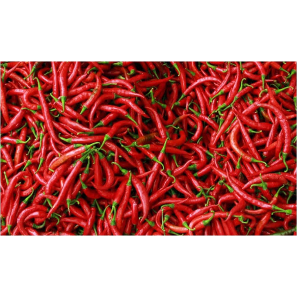 Cabai keriting/Cabai merah