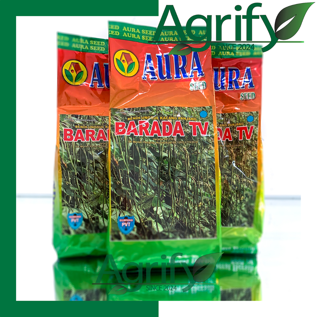 BENIH KACANG PANJANG BARADA TV 500gr AURA SEED