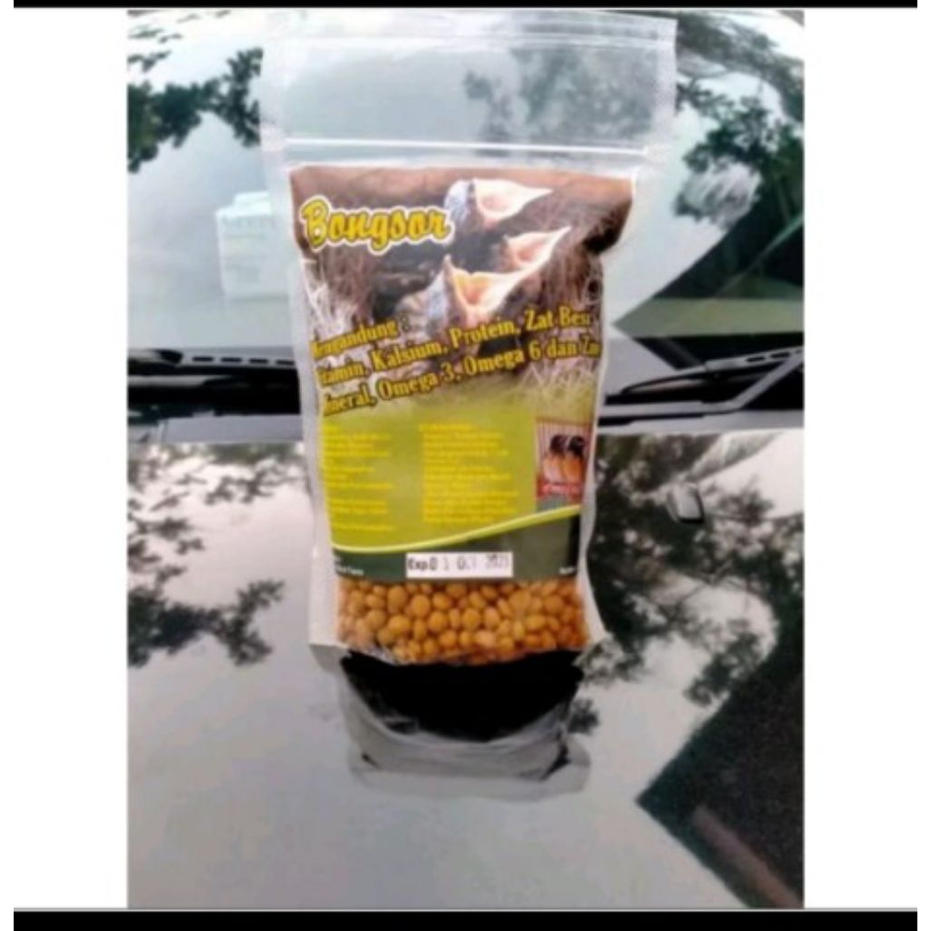 BONGSOR PAKAN BURUNG ANAKAN MURAI
