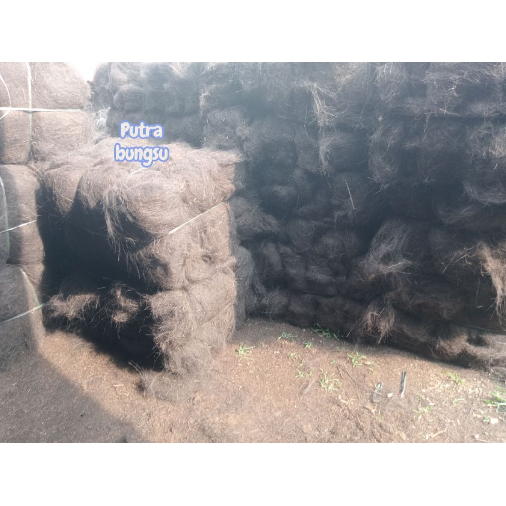 IJUK AREN UNTUK RESAPAN/BAHAN SAPU IJUK/ATAP DLL