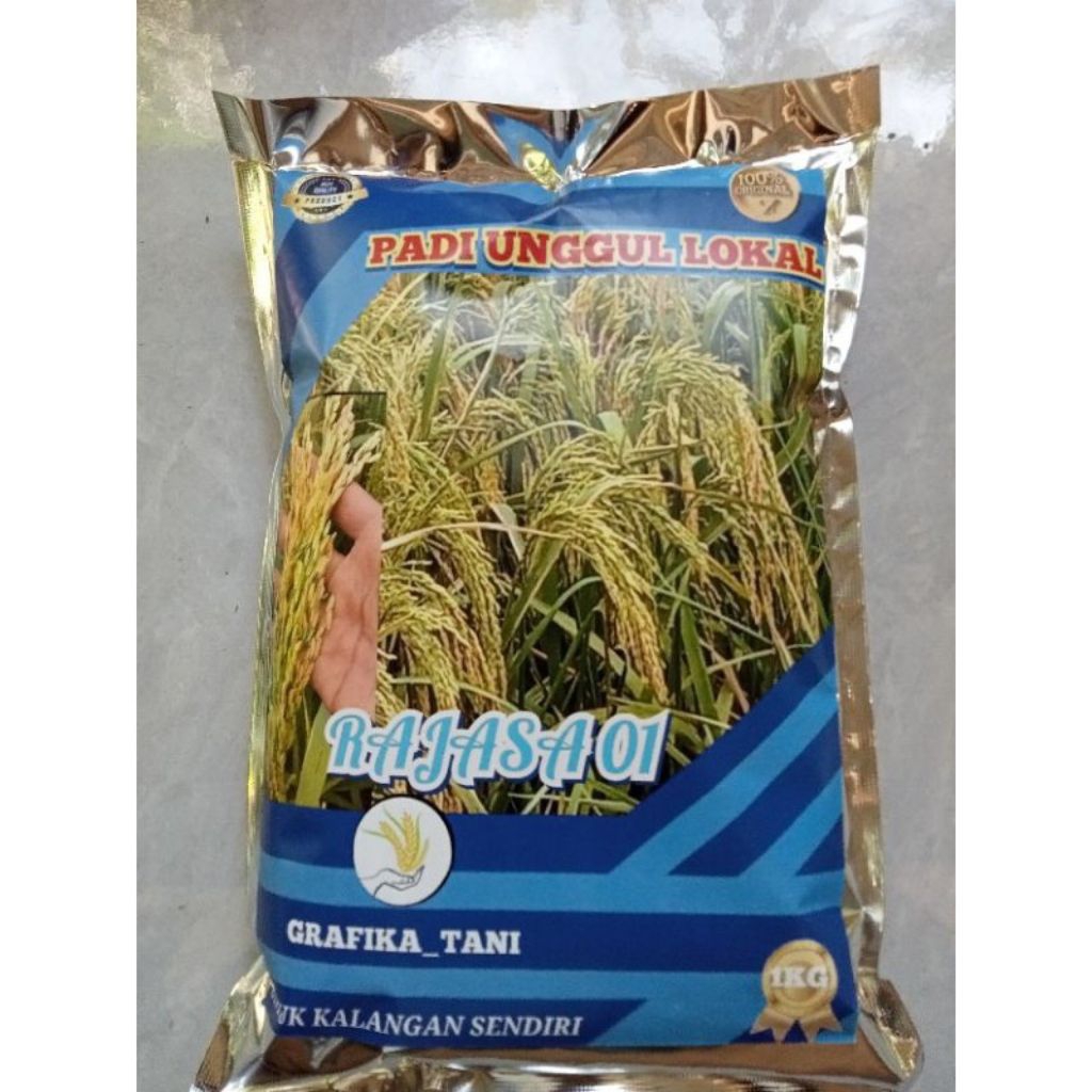 BENIH PADI RAJASA 01 TERBARU PADI UNGGUL kemasan 1kg