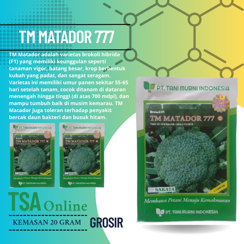 TM Matador 777 - isi -+1000 biji HARGA GROSIR 10PCS - Benih Brokoli F1 Unggul Hibrida (bisa COD) - O