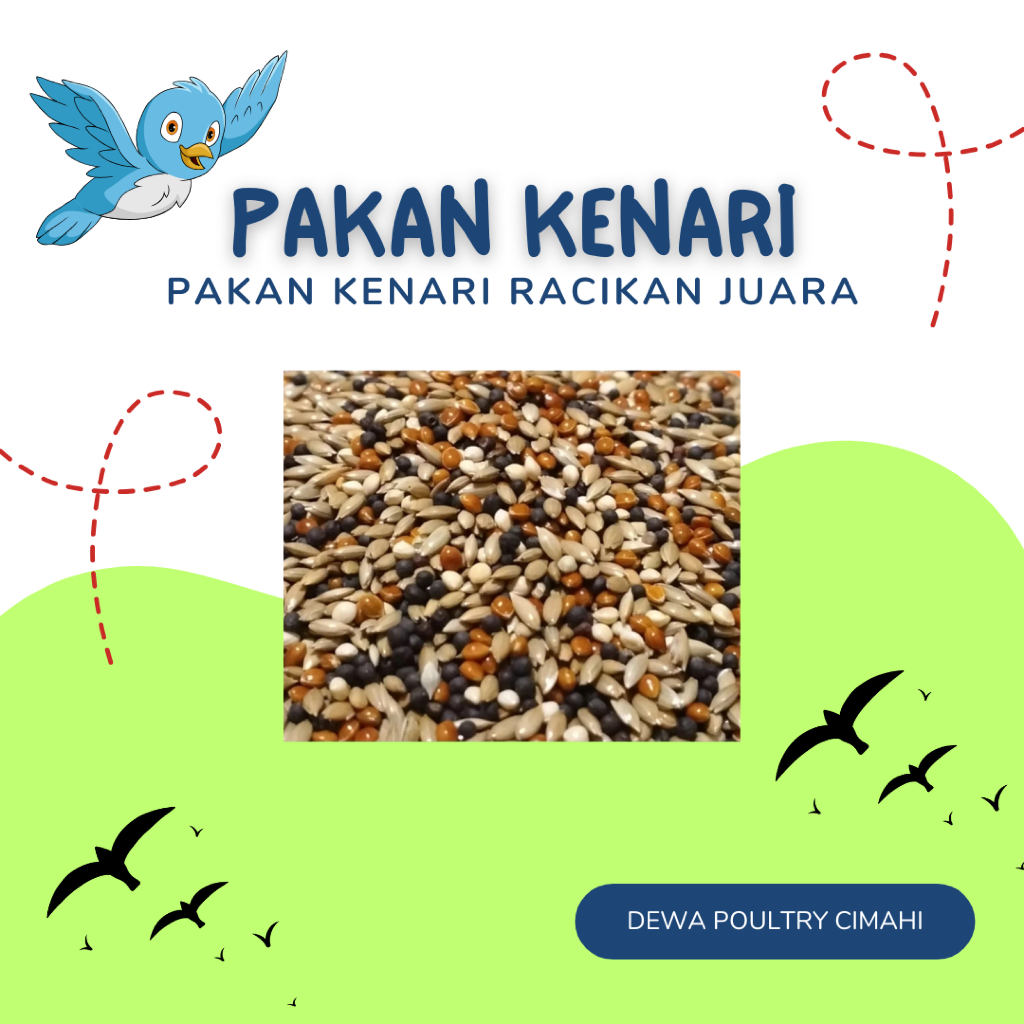 Pakan Kenari 1 Kg Campur Kiloan Premium Biji Sawi Kenari Niger Seed Milet Kuning Merah Putih