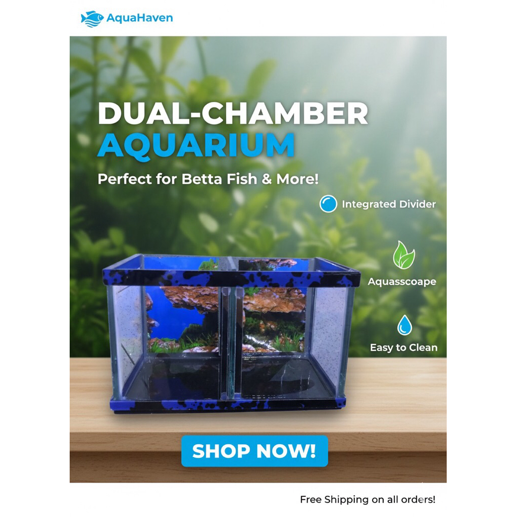 Aquarium sekat 2 cupang