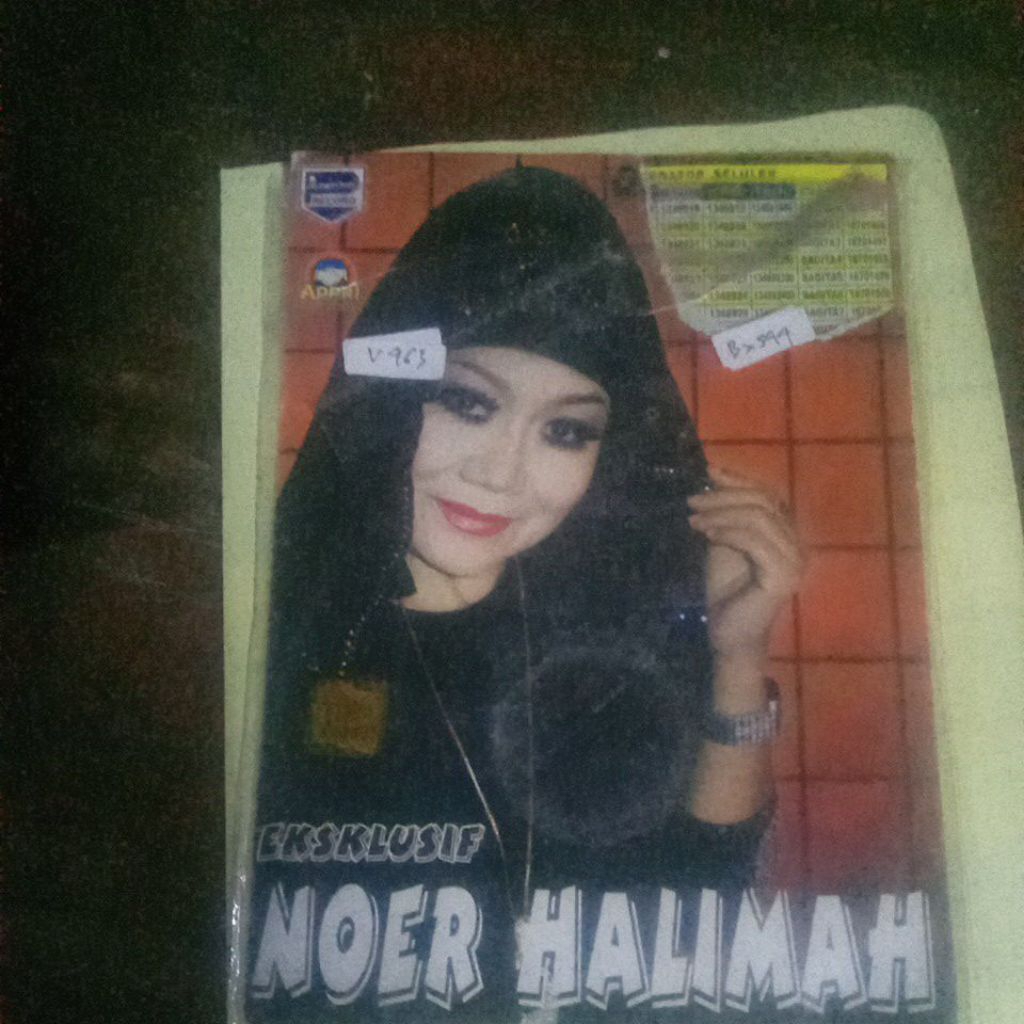 VCD NOER HALIMAH BX544