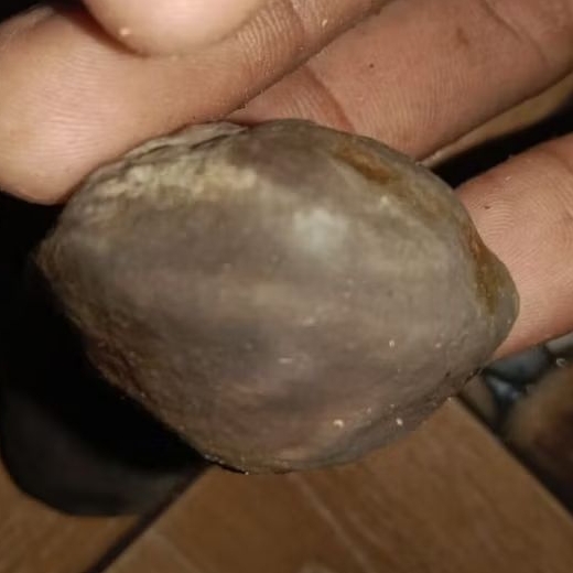 Muncang Mantili Pucung