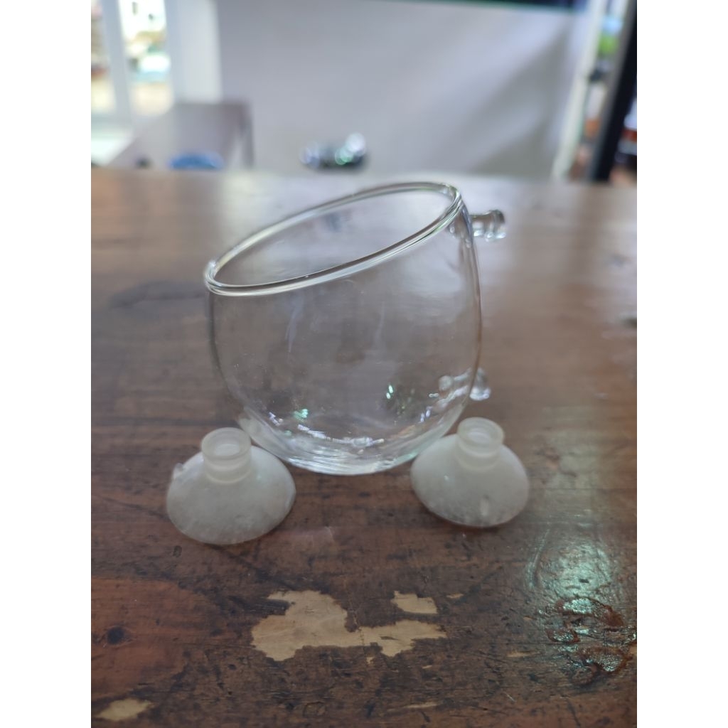 Glass pot aquascape / crystal glass aquatic plant cup / pot glass untuk tanaman aquascape