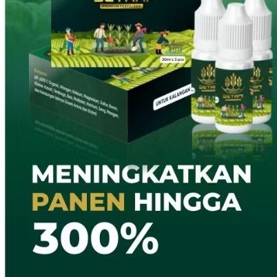 Pupuk Organik Pelebat Buah Cabe, Pupuk Organik Perangsang Buah Dan Bunga, Pupuk Terbaik Untuk Padi B