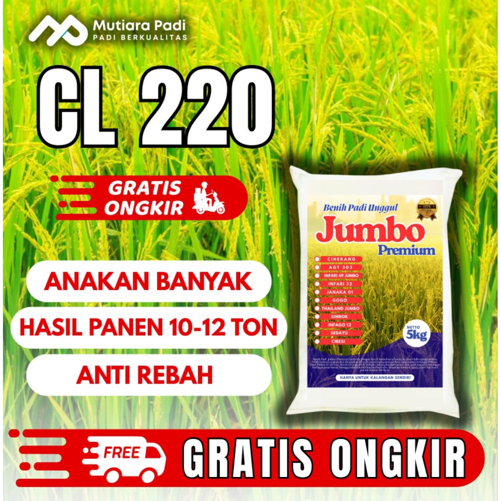 Benih padi bibit padi CL 220 kualitas original kemasan 5 kg