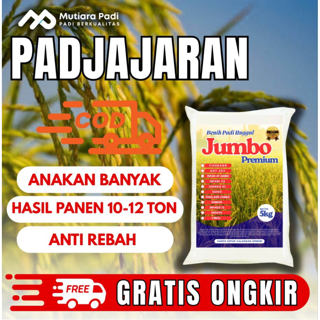 benih padi bibit padi pajajaran kemasan 5 kg