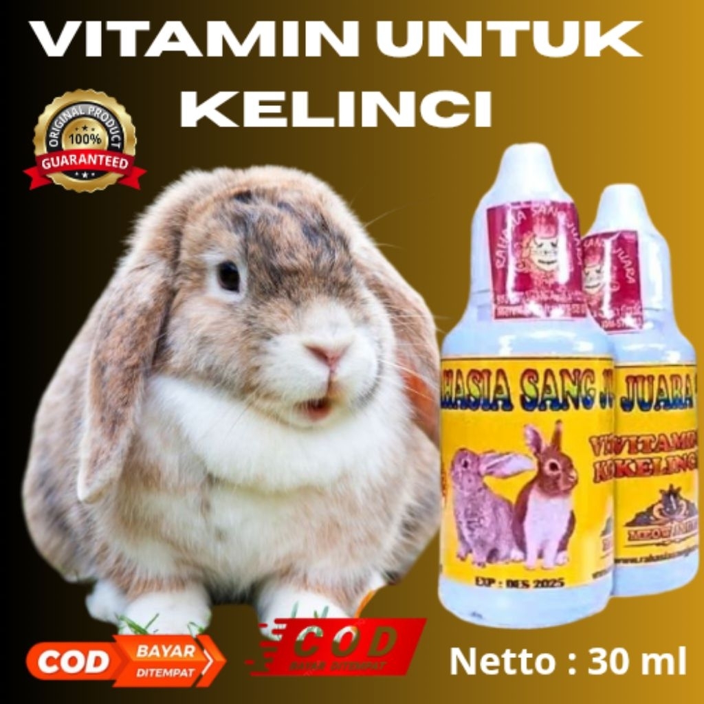 VITAMIN UNTUK KELINCI BERKUALITAS 30ml