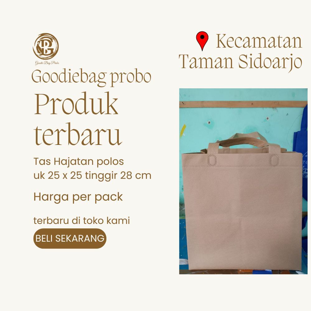 Lusin (12pcs) goodiebag tas hajatan uk 25x25xtinggi28/tas serbaguna/tas sepunbond/tas hajatan/goodie