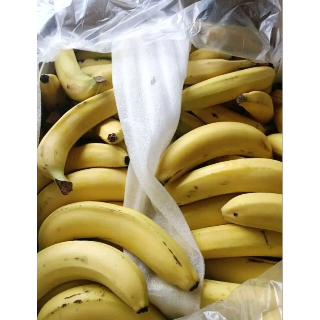 pisang cavendish 1 kg