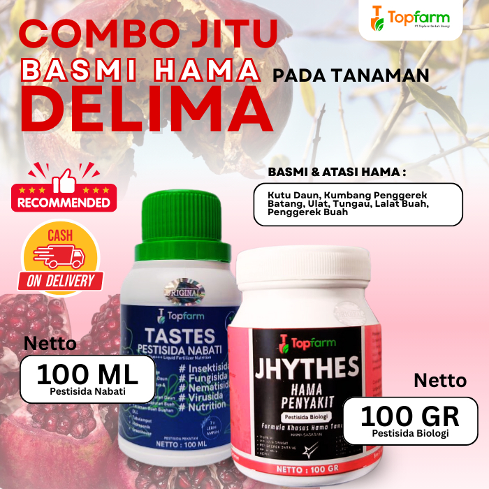 Insektisida Buah Delima / Obat Hama Buah Delima / Obat Hama Ulat Buah Delima / Obat Hama Tanaman Bua