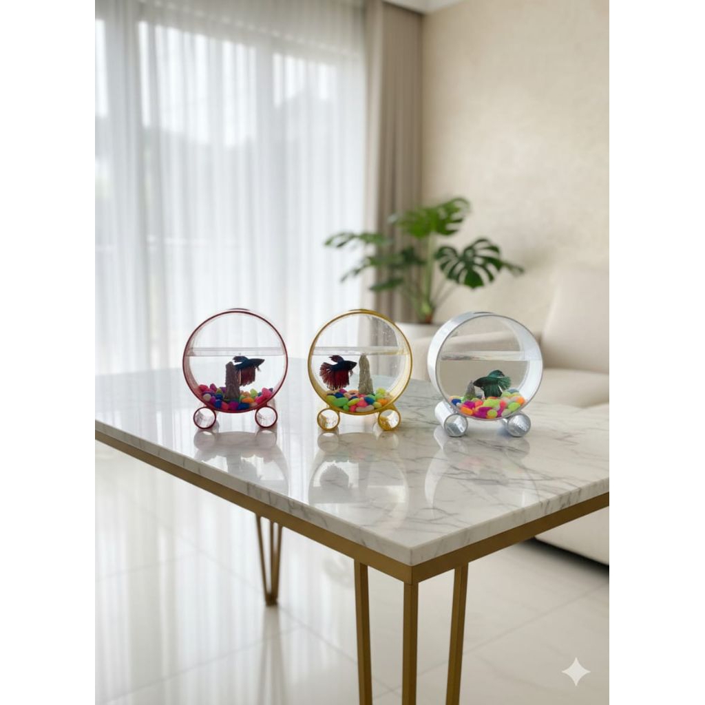 aquarium mini aquarium akrilik aquarium estetik minimalis aquarium cupang