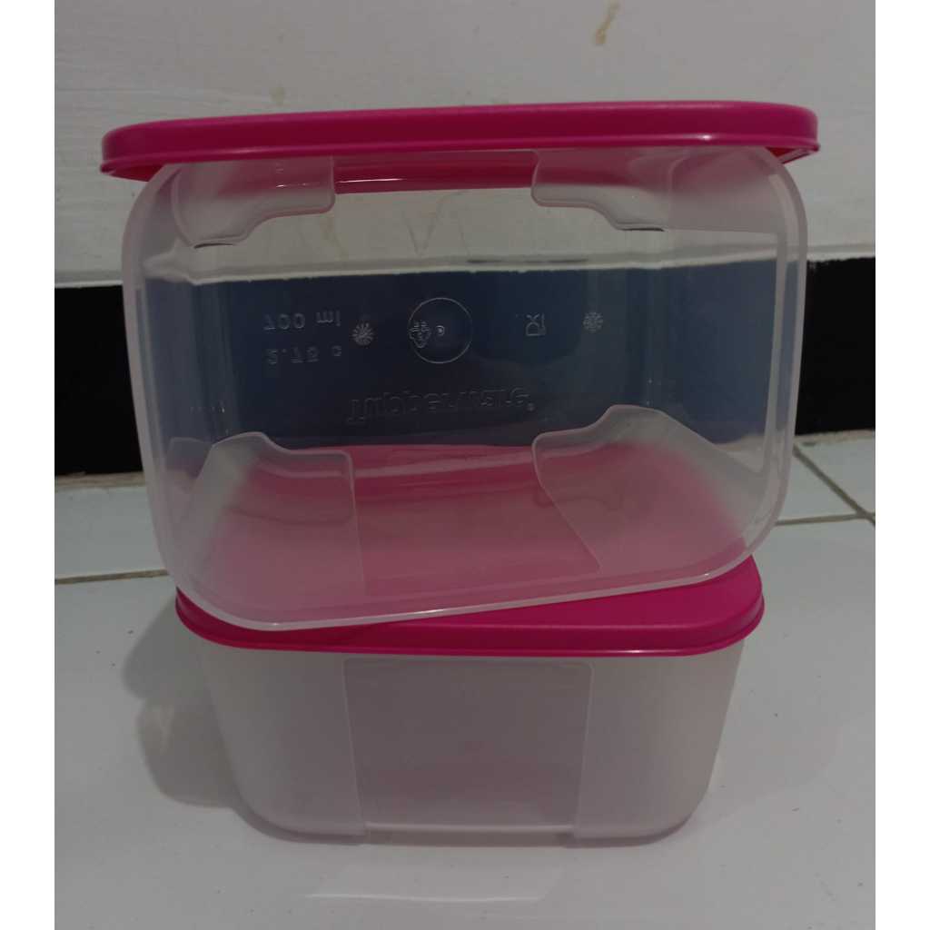 Freezemate 650 ML Tupperware--Malay--