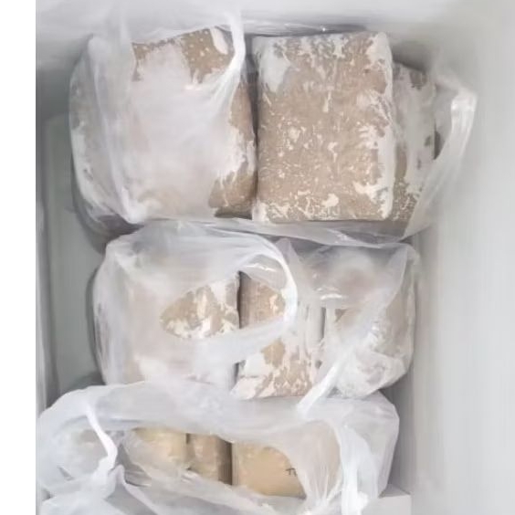 Ikan Giling Tenggiri Premium, Super, Gabus, Kakap, Sarden, Kulit Tenggiri, Premium Super, Pempek, Te