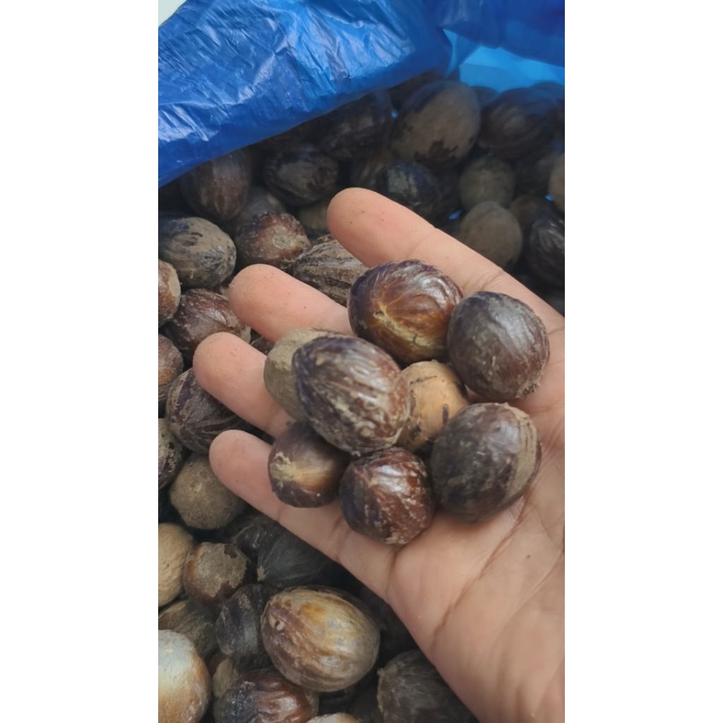 Biji Pala 1 Kg Pala Kering