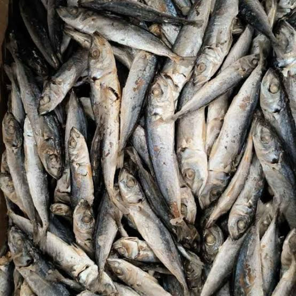 ikan asin rebus pilihan hasil laut segar fresh