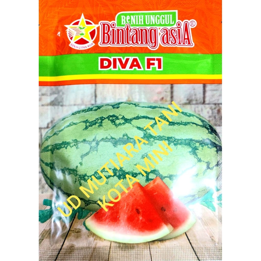BENIH SEMANGKA DIVA F1 380 BUTIR