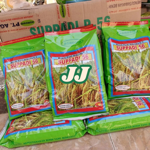 BIBIT BENIH PADI SUPPADI 56 AGROSID HIBRIDA F-1