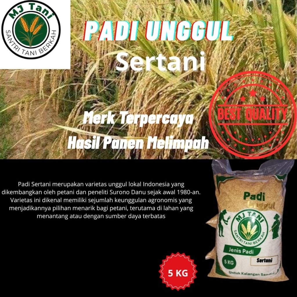 bibit padi sertani 5kg
