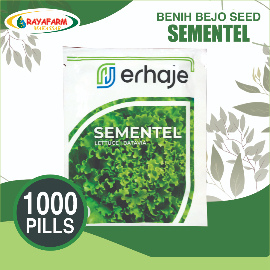 BENIH SELADA SEMENTEL 1000 PILL - BEJO SEED