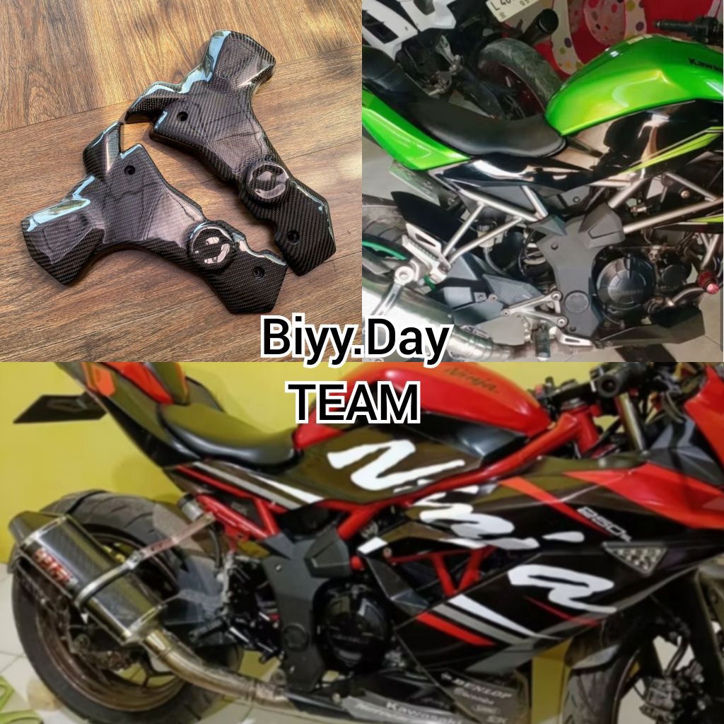 Cover Rangka Kawasaki Ninja 250SL Carbon kevlar original
