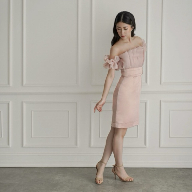 BLAIR - PARTY DRESS / DRESS ORGANZA / CUSTOM DRESS PESTA / BAJU PESTA / NUDE DRESS / PARTY DRESS / B