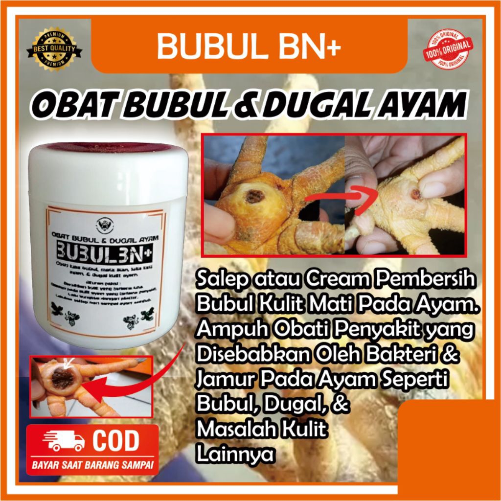 obat ayam bubul juga BUBULBN+ salep untuk mengobati kaki ayam bubul dugal
