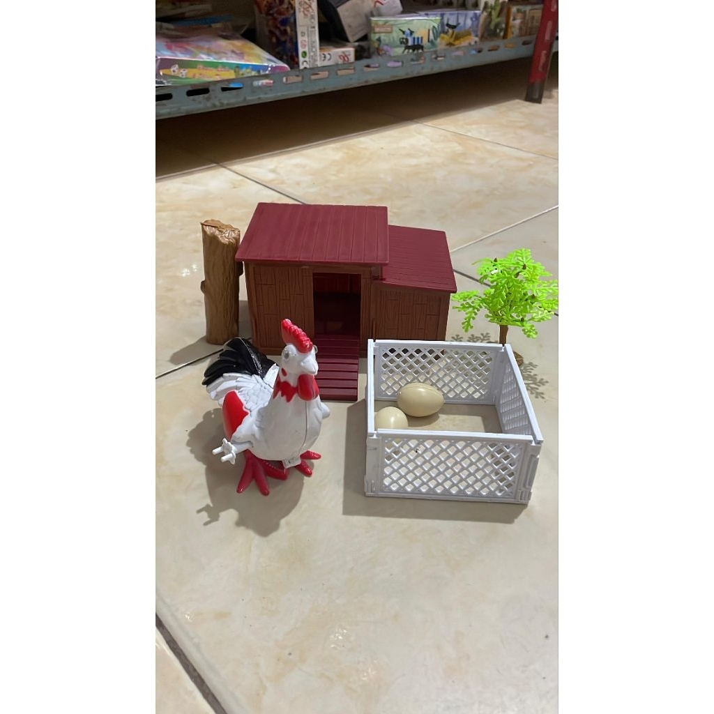 Ternak Ayam Kandang Ayam Telur