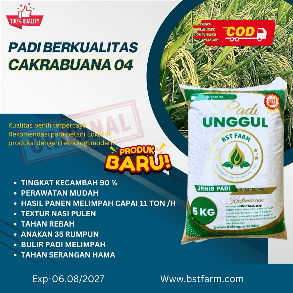 PADI BERKUALITAS CAKRABUANA 04 KEMASAN 5KG