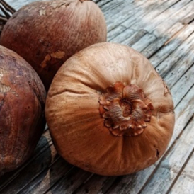 Buah Kelapa Tua Fresh  Kualitas Terbaik /Termurah/ Kelapa Tua Bulat Utuh /Kelapa Santan alami
