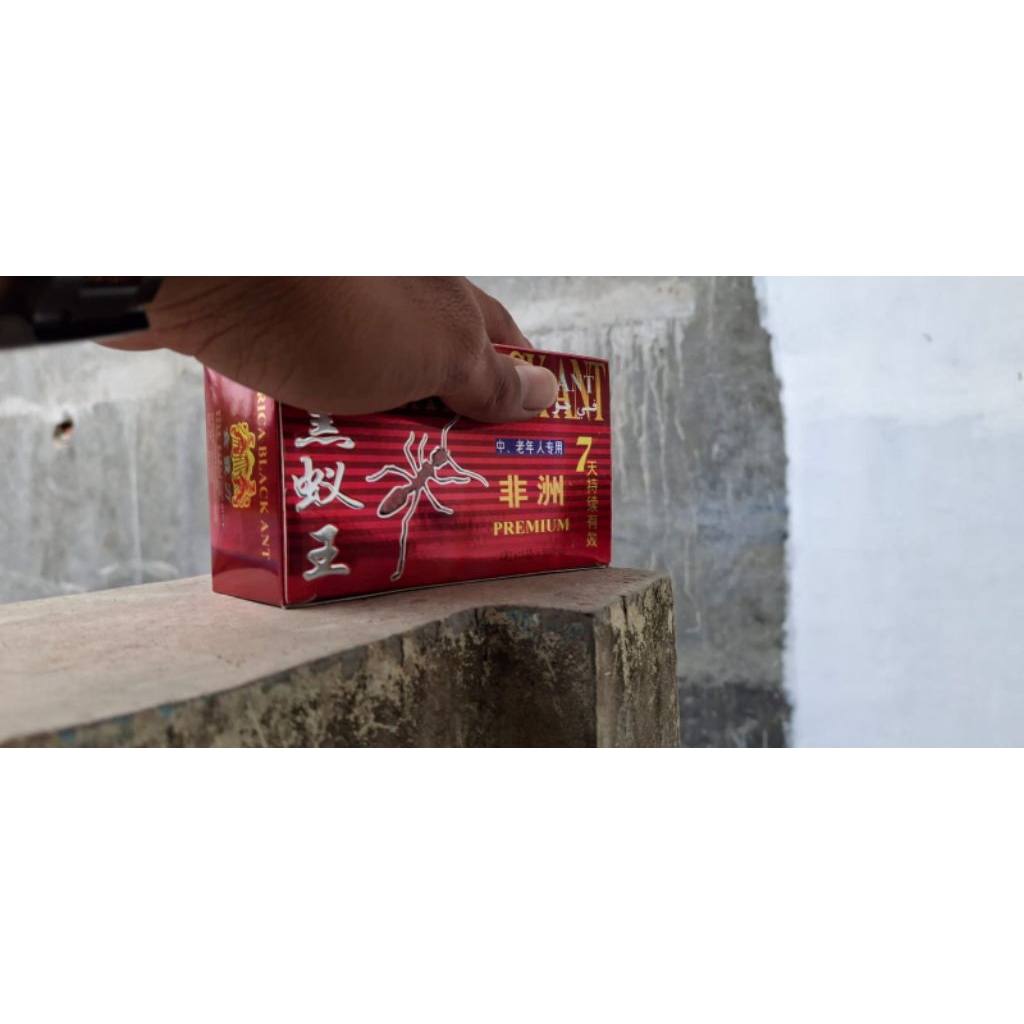 [[ COD ]] sarang semut hitam asli isi 30