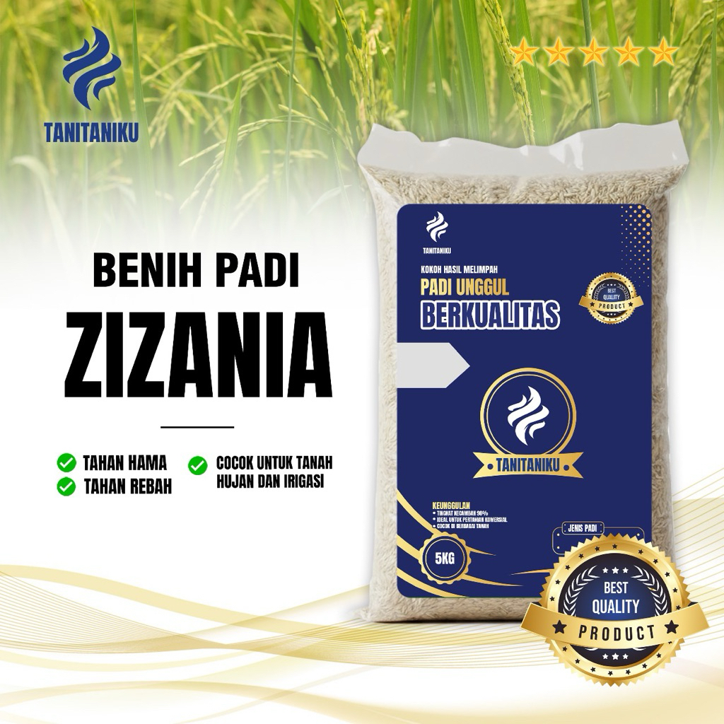 benih padi bibit padi ZIZANIA kualitas unggu kemasan 5 kg