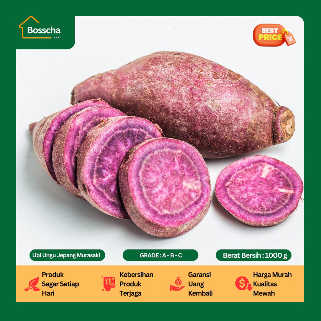 Ubi Ungu Jepang Berkualitas - Ubi Ungu Jepang Murasaki